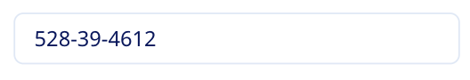 This masked text editor now contains the user's input.