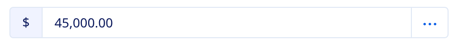Currency input