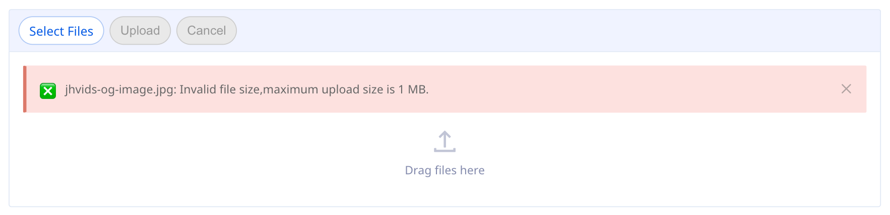 The standard file upload displays a validation error if the user selects files that are the incorrect file type or too large